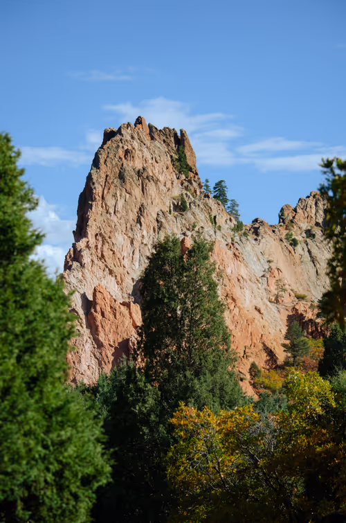 Item #83625231168864970045539605410069256261495624931970233410894617908980052131841 Media