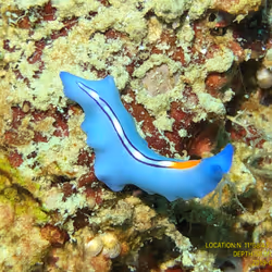 80965803268169370603932631570667161375508893671094224909166964047947598135297