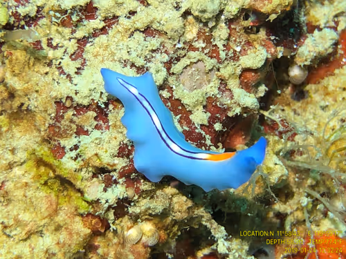 Item #80965803268169370603932631570667161375508893671094224909166964047947598135297 Media