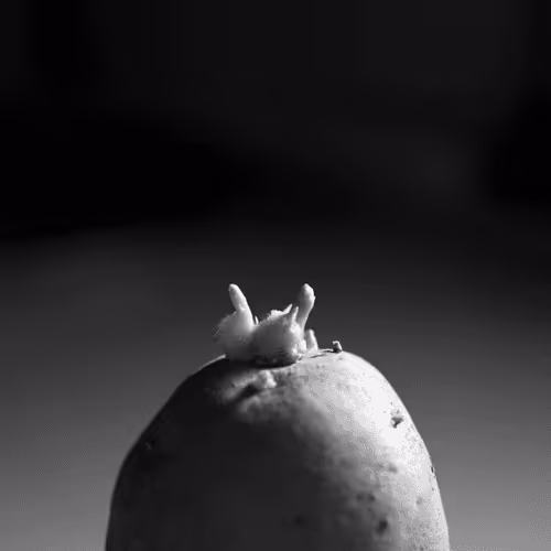 Item #106002847208740868609833758564864100377070191956822007780539652003449939165185 Media