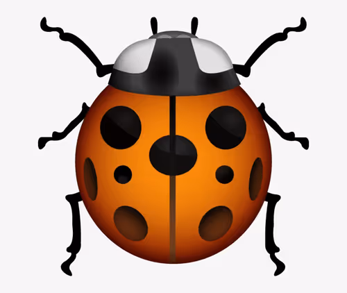 0xcoinboi Collection