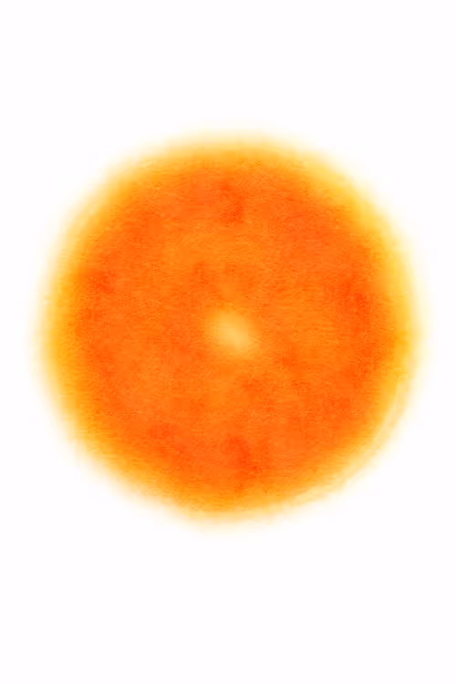 Item #78182797182989649795293275889877000487096275793489197886247210453976045584385 Media