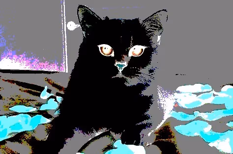 Item #23538819986925566434507765811444276093104658907602947149672917343807440158721 Media