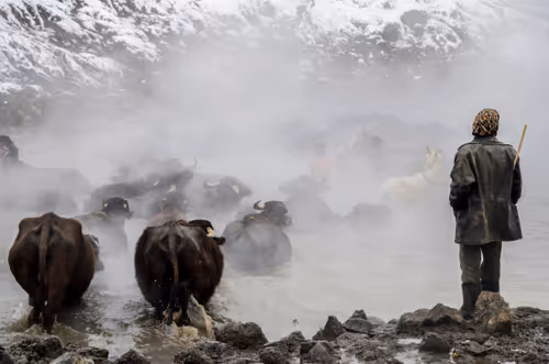 Item #40394546546669417743996897693807415895791416863861348981332634715111376814081 Media