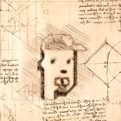 49946850432508312984941760236343359811619297777714624196669777758410671915009