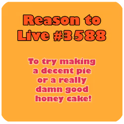 Reason to Live #3588