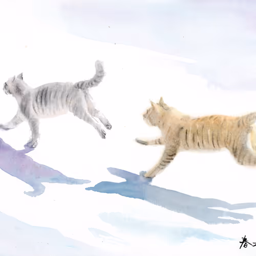 106946685177321422894597018356236354695280459697270820236302694350993156472833