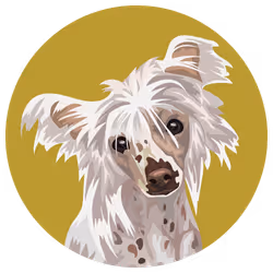 54766349128176429303044182404049584425310907481653304317570413844070913802241