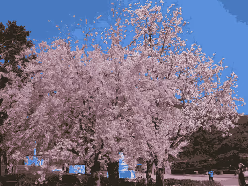 Item #31763483209557281269385879109424211242464800578644497247199877771732203864065 Media