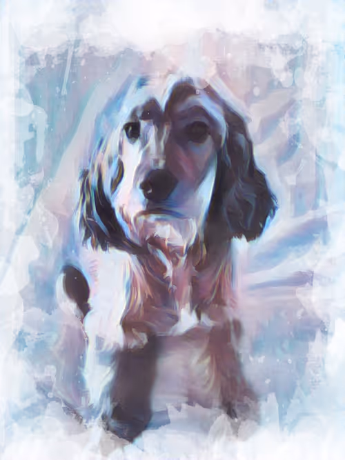 Item #11025684315241985952298237908524854018692534373662870877904489707364597891073 Media