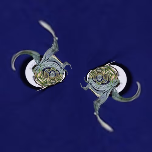 Item #35659405068299771030419429658448023914742577265818948421093292323142016958465 Media