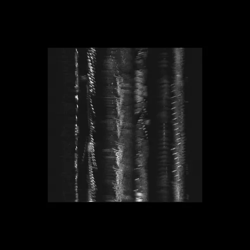 Item #43939955971694368961434358164711021081057237677410347264159755760224033570817 Media