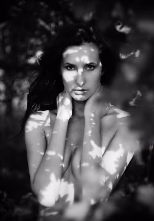 Item #83120003948984634308505361164040362002445946121602800627924203691824604250113 Media