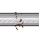 54592082719803053098543928044698800442533756316367598168258736760414489542657