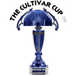 MycoNegative Cup
