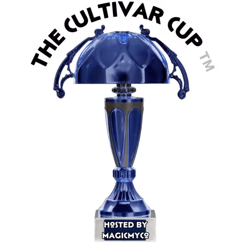 MycoNegative Cup