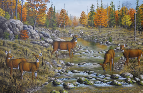 Item #35643411098576877305057509121838093014142283430323492401104929182032230088714 Media