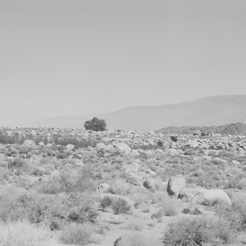Exposure Exp V1