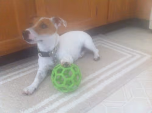 Item #5985210497355107417265215381210579199842884272282595265964883374826563043329 Media