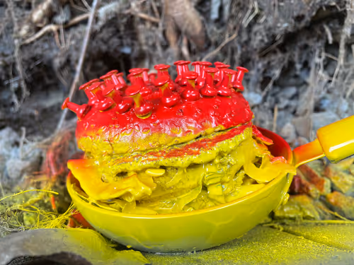 Item #96980589418241390712147429187600573707243645183759256686646524272305936269313 Media