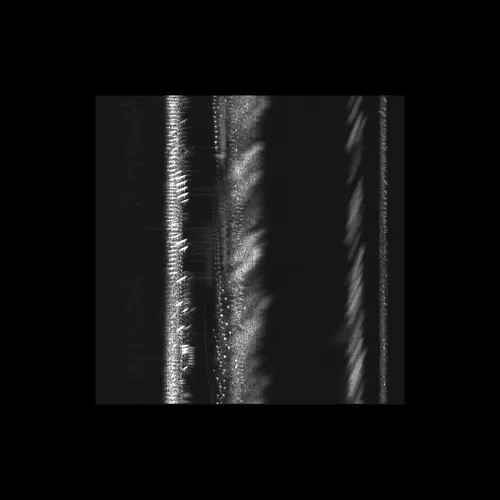 Item #43939955971694368961434358164711021081057237677410347264159755758025010315265 Media