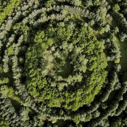 100600280271040798317723628260513137156606623100883316454227272260707663478785