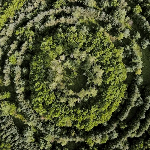 100600280271040798317723628260513137156606623100883316454227272260707663478785