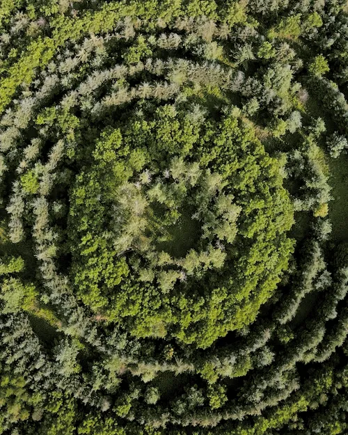 Item #100600280271040798317723628260513137156606623100883316454227272260707663478785 Media