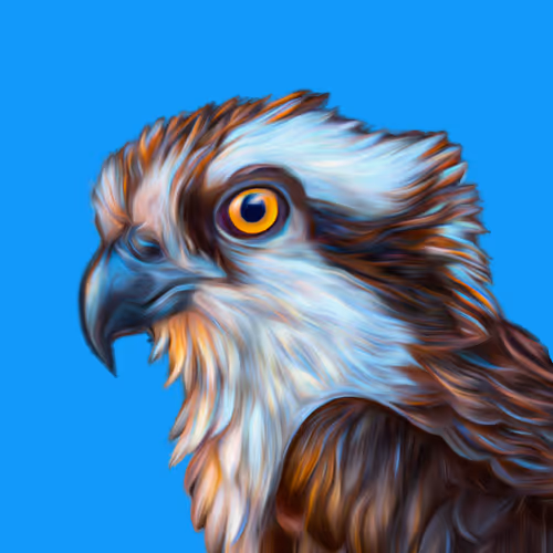 Osprey Art