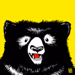 12256084541221245156135028986021526634136884921740396050173767563047855980545