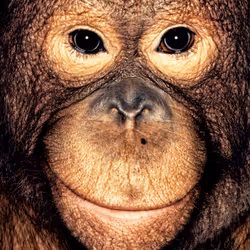 109162157552346088047496633038404394118504199992061596446112929743668640743425