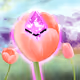 PMD_NFT