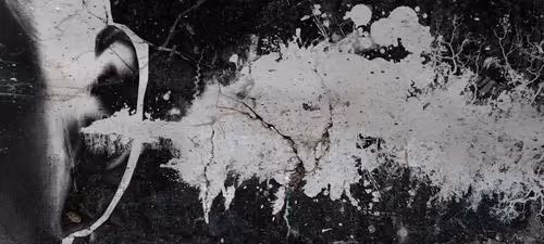 Item #25628898204730322103254308965318407839496113183409002219398702196386529542145 Media