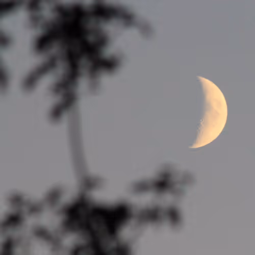 51124555051901614330264480006545612592022390906904121289505624518428259778561