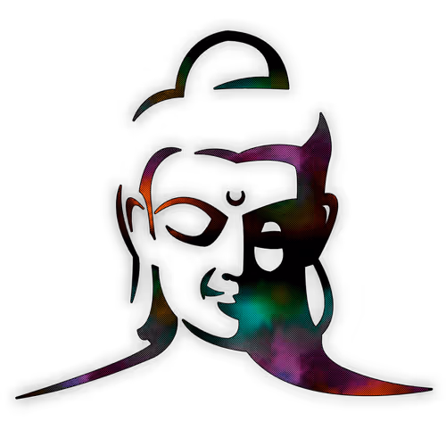 Cosmic Dust Particles