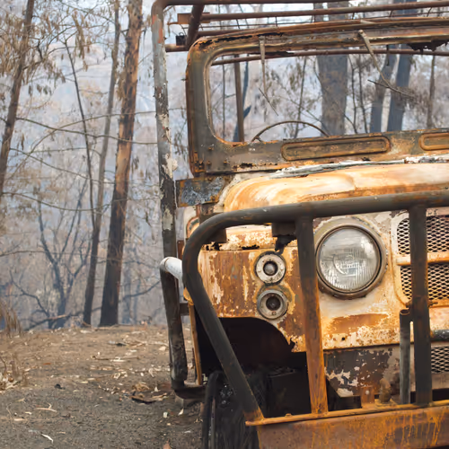 Taejarita Collection