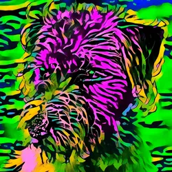 50830097462543580601473563981388698009005024090223633461481089734875832909825