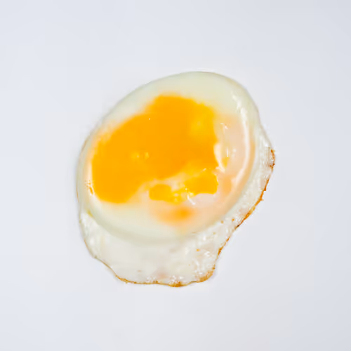 Item #78528443948579104322140496829892989893868873078455460703722931717891648651265 Media