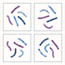 107937117699900001194099939943306584939867407144504846123696048256406293315585