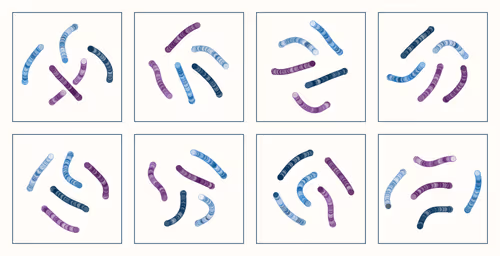 Item #107937117699900001194099939943306584939867407144504846123696048256406293315585 Media