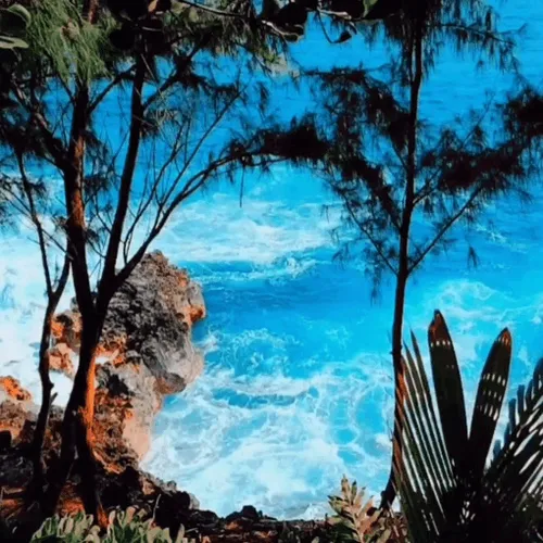 Item #19755943560703832549694930259889174281342606690861395808005517940941874266113 Media