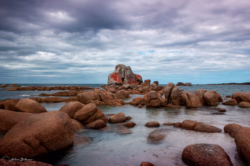 Item #4468298363639779410532789010720251327822800533817543307032898262521056591873 Media