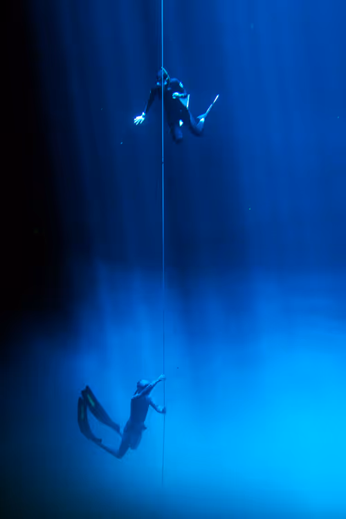 Item #25422583313571458459737529461820134862175223810011730482418987931040095404033 Media