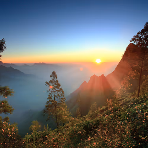 Hues of Kolukkumalai : HOK-002