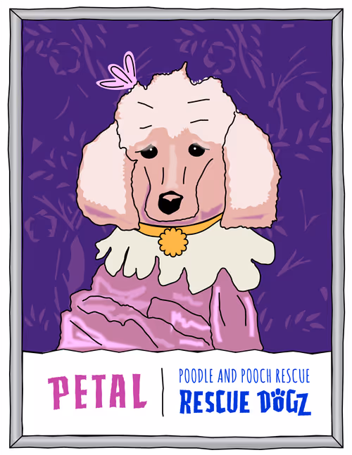 Item #30690731946652718087334591486962028713730520455891869769803774208680742879233 Media