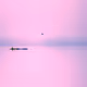 18320672164429677525430036113760625098373562791268118602161901171117691764751