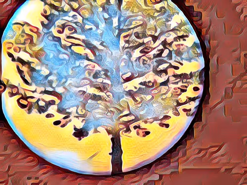 Item #68103433958729647441734292428991292973430553462390996571560802188981723725825 Media