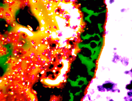 Item #71646257518770613568983710813551014237803002136866425209291833990010191740929 Media