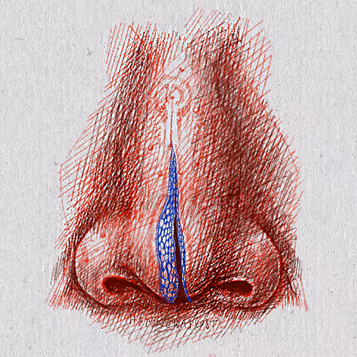 Item #27921743008571817687184646178926159877577224498393299984677392996563855343617 Media