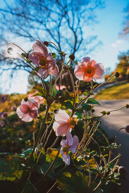 Item #4356313277186310688278388877259686636722187435374575515082253940135573848065 Media